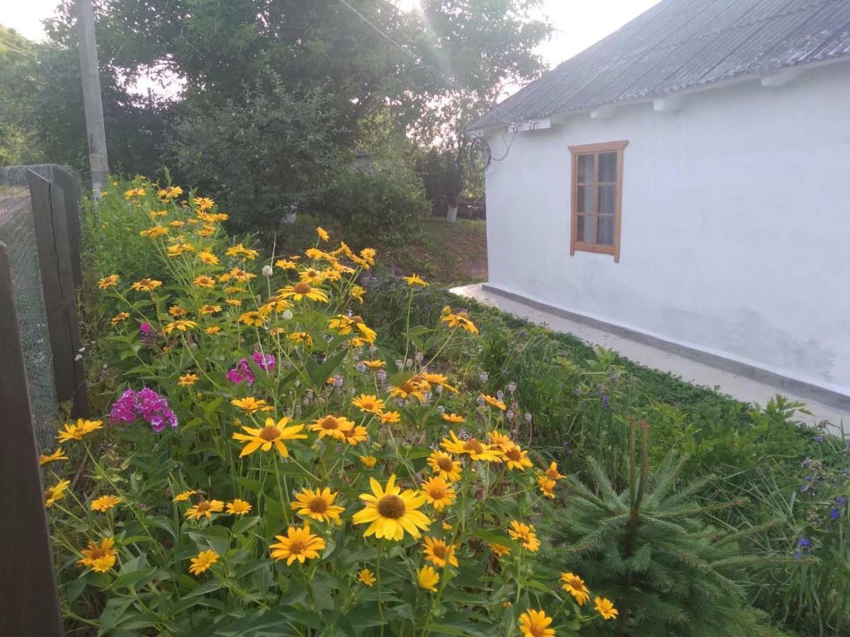 Соколине Гніздо Villa Dmitrenki Exterior photo