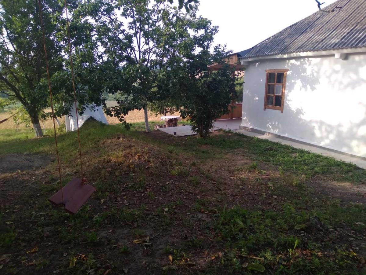 Соколине Гніздо Villa Dmitrenki Exterior photo