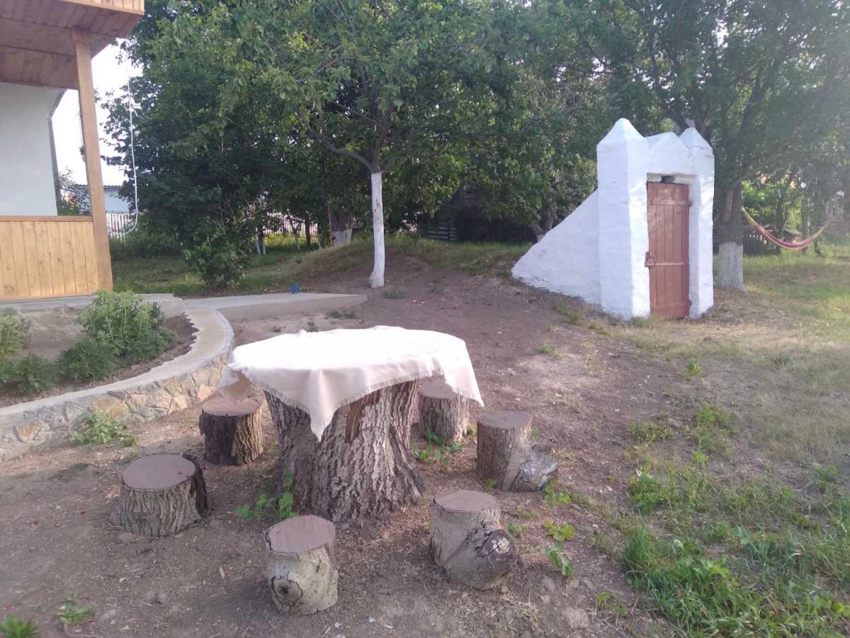 Соколине Гніздо Villa Dmitrenki Exterior photo