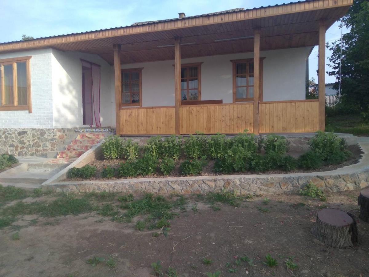 Соколине Гніздо Villa Dmitrenki Exterior photo