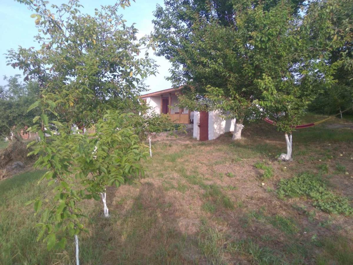 Соколине Гніздо Villa Dmitrenki Exterior photo
